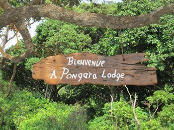 Pongara Lodge Либревиль Экстерьер фото